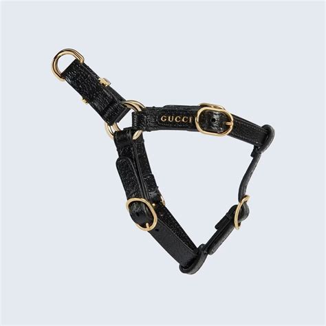 collar for cats gucci|Gucci spiked dog collar.